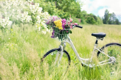 bicycle-g40dfda835_640.jpg