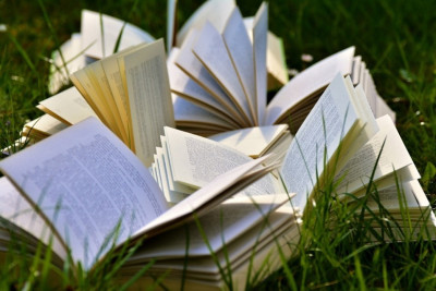 prix-litteraire-pays-nordiques.jpg
