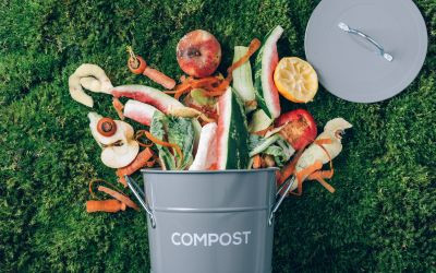 atelier-compostage-lagord.jpg