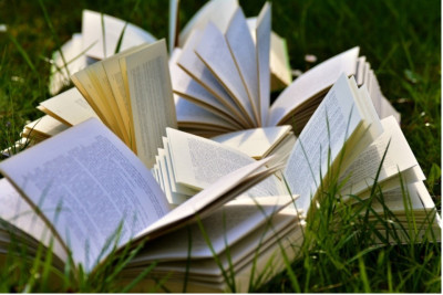 vote-prix-litteraire-pays-nordiques.jpg