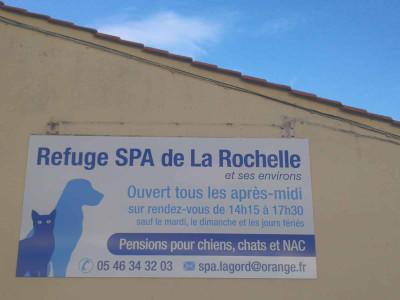 SPA2.jpg
