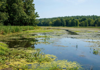 Design sans titre (25).jpg