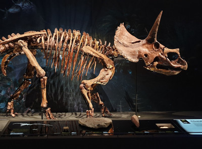 Design sans titre (45).jpg