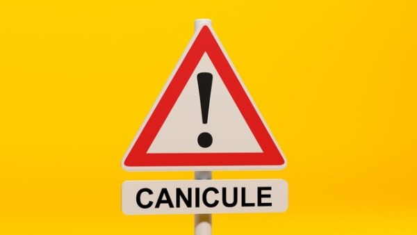 PLAN CANICULE