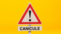 PLAN CANICULE