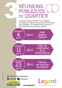REUNIONS PUBLIQUES